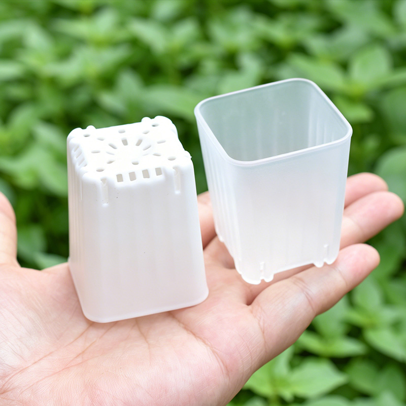 Food Storage Plants - 50-100 個 4 センチメートルミニ厚みのある白/透明な正方形の植木鉢苗栽培用通気性多肉植物ポット種子トレイ