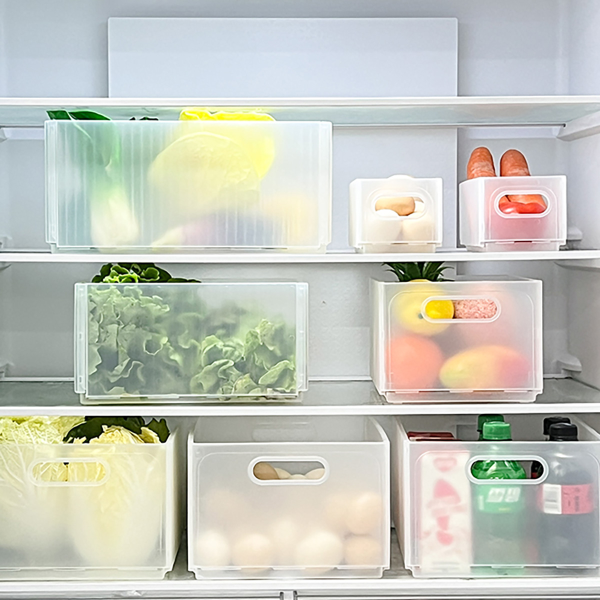 WORTHBUY プラスチック製折りたたみ式冷蔵庫収納ボック - Xxl Food Storage Container のレビューと価格
