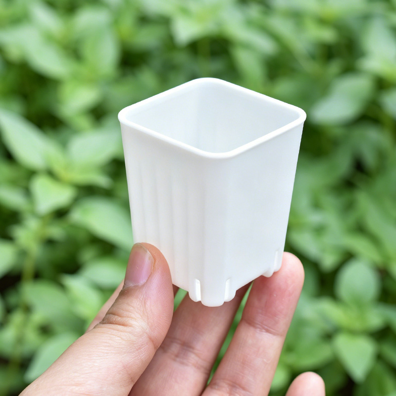 50-100 個 4 センチメートルミニ厚みのある白/透明な - Food Storage Plants のレビューと価格