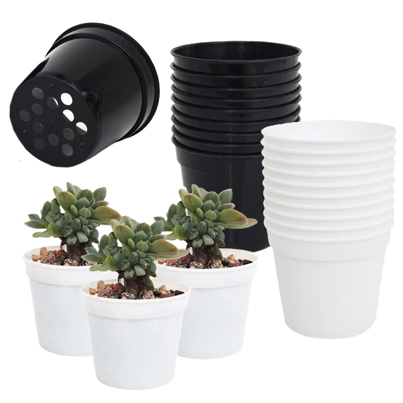 10/20 個ラウンドプラスチック植木鉢ミニ苗ポット保育園用 - Food Storage Plants のレビューと価格