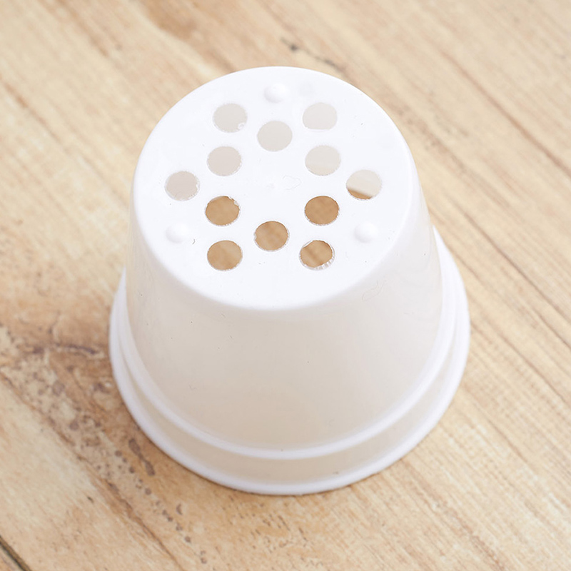 10/20 個ラウンドプラスチック植木鉢ミニ苗ポット保育園用 - Food Storage Plants のレビューと価格