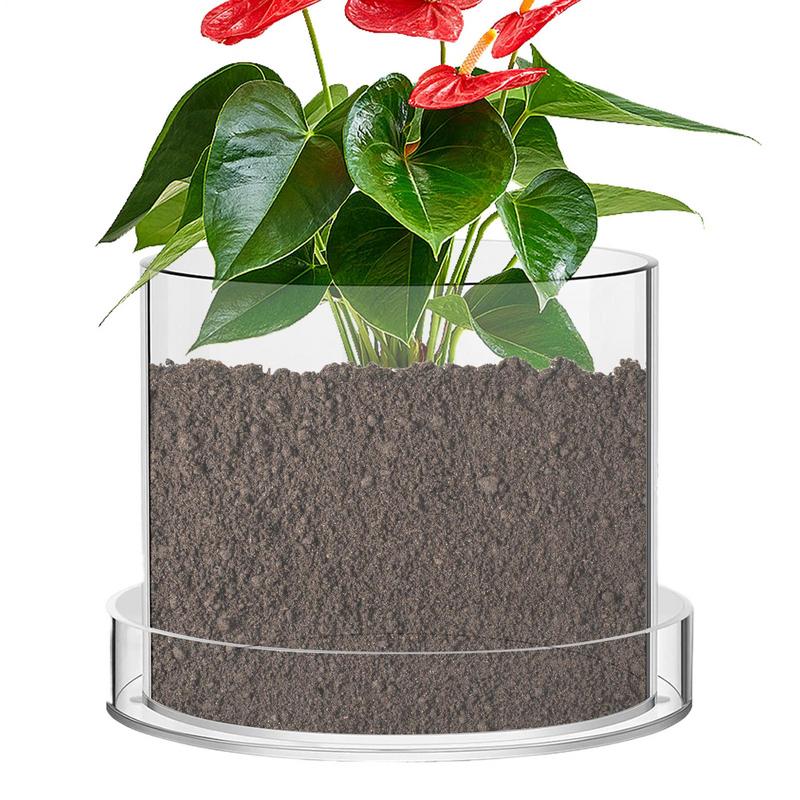 排水付き透明植木鉢植物用透明ポッティング容器再利用可能なアク - Food Storage Plants のレビューと価格
