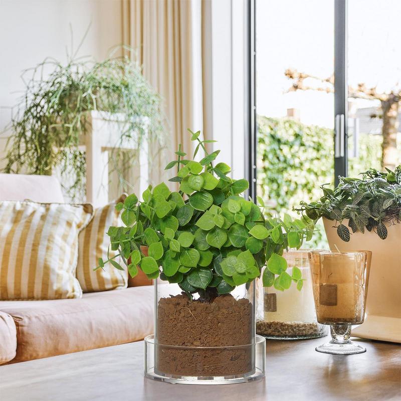 排水付き透明植木鉢植物用透明ポッティング容器再利用可能なアク - Food Storage Plants のレビューと価格