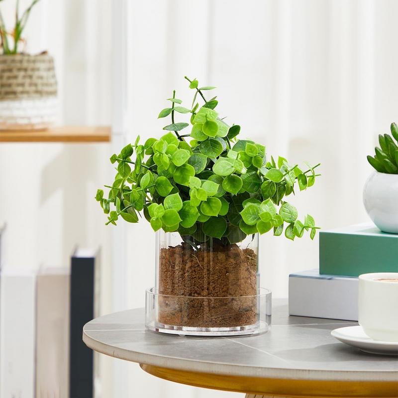 排水付き透明植木鉢植物用透明ポッティング容器再利用可能なアク - Food Storage Plants のレビューと価格