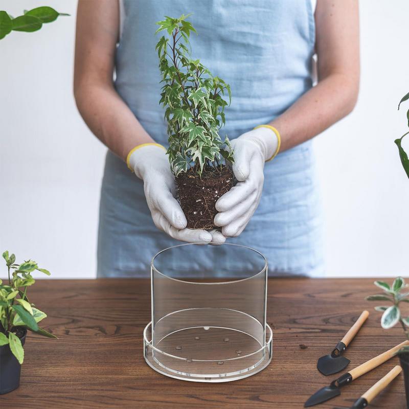 排水付き透明植木鉢植物用透明ポッティング容器再利用可能なアク - Food Storage Plants のレビューと価格