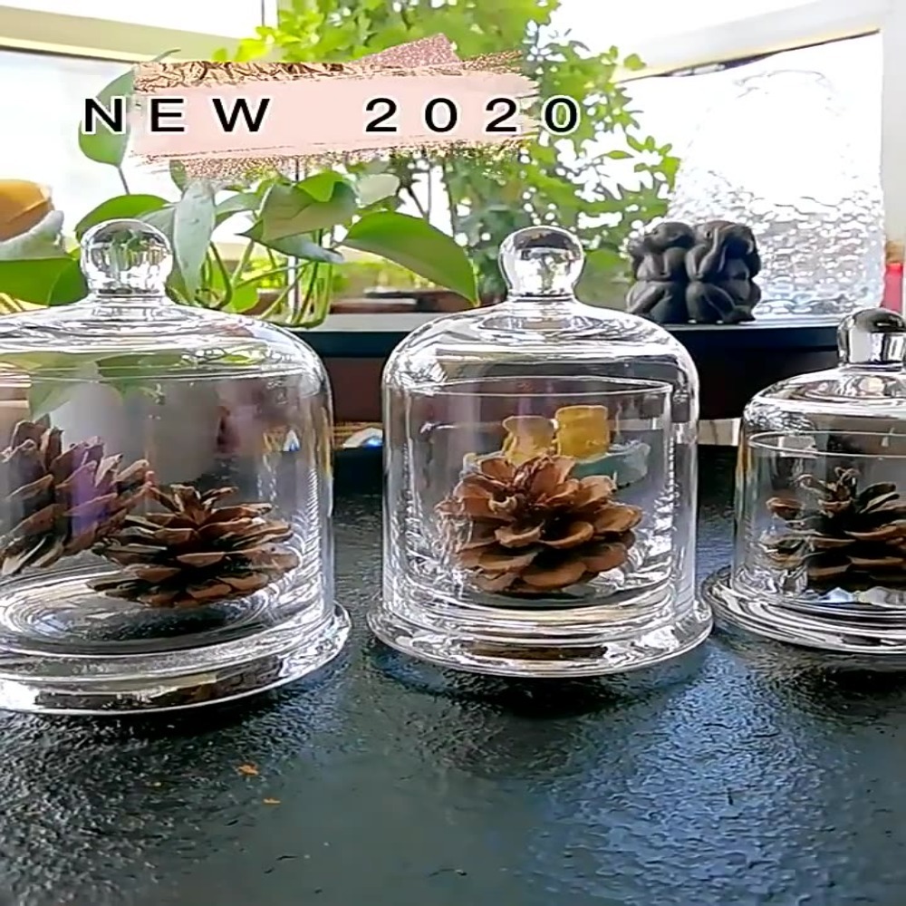 ガラス製保存瓶 エターナルライフフラワー 8色 アロマセラピ - Food Storage Plants のレビューと価格