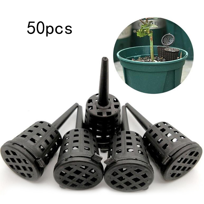 植物、植木鉢、操作コテの盆栽蘭のための肥料バスケット、パック - Food Storage Plants のレビューと価格